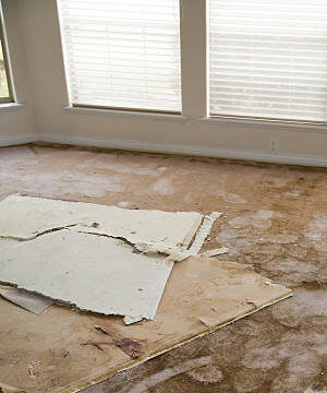 Home Interior Water leaking damaged plasterboard and carpet